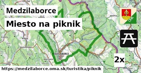 Miesto na piknik, Medzilaborce