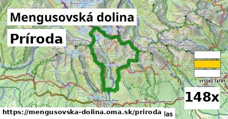 príroda v Mengusovská dolina