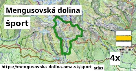 šport v Mengusovská dolina