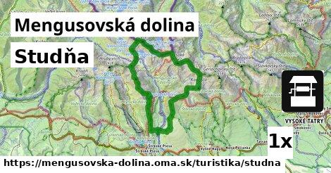 Studňa, Mengusovská dolina