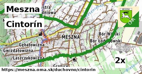 cintorín v Meszna
