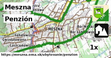 Penzión, Meszna