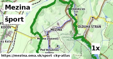 šport v Mezina