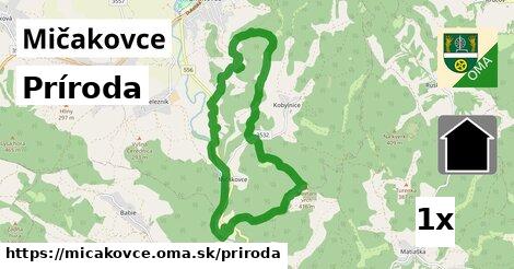 príroda v Mičakovce