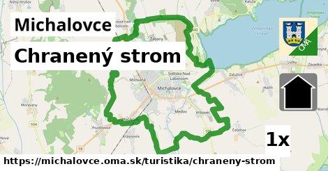 Chranený strom, Michalovce