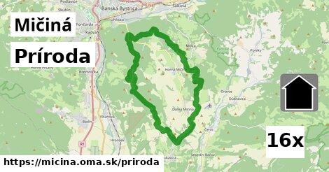 príroda v Mičiná