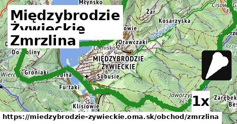 Zmrzlina, Międzybrodzie Żywieckie