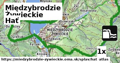 Hať, Międzybrodzie Żywieckie