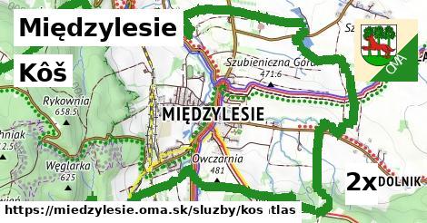 kôš v Międzylesie