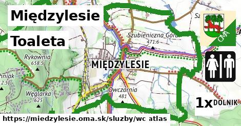 toaleta v Międzylesie