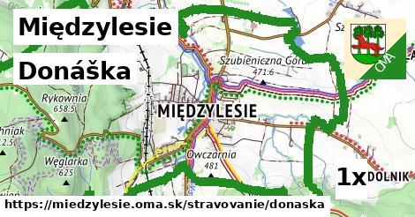 donáška v Międzylesie