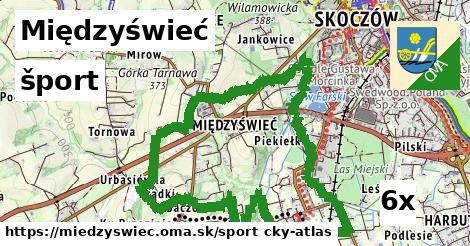 šport v Międzyświeć