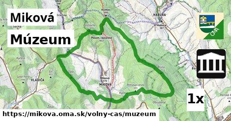 Múzeum, Miková