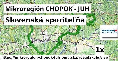 Slovenská sporiteľňa, Mikroregión CHOPOK - JUH