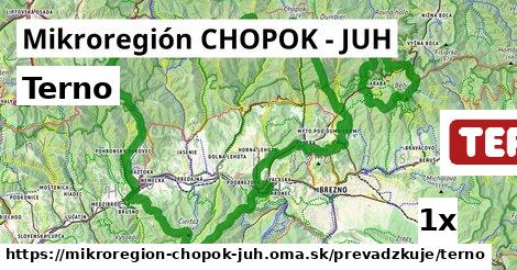 Terno, Mikroregión CHOPOK - JUH