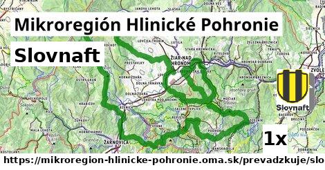 Slovnaft, Mikroregión Hlinické Pohronie