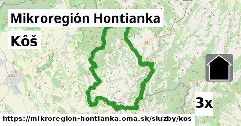 kôš v Mikroregión Hontianka