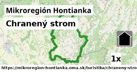 Chranený strom, Mikroregión Hontianka