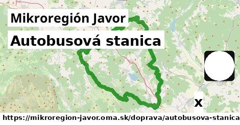 Autobusová stanica, Mikroregión Javor