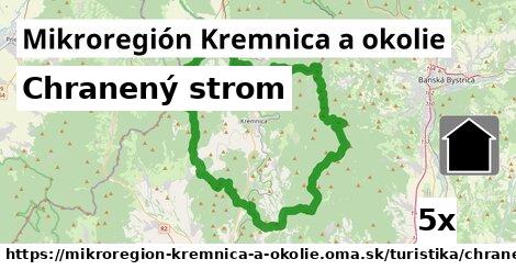 Chranený strom, Mikroregión Kremnica a okolie