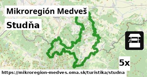 Studňa, Mikroregión Medveš