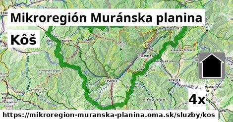 Kôš, Mikroregión Muránska planina