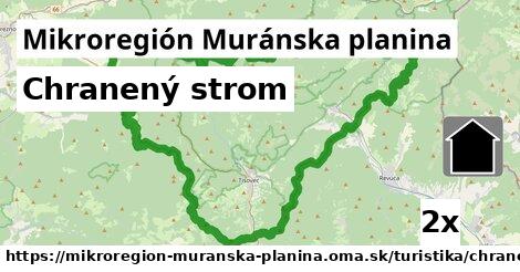 Chranený strom, Mikroregión Muránska planina