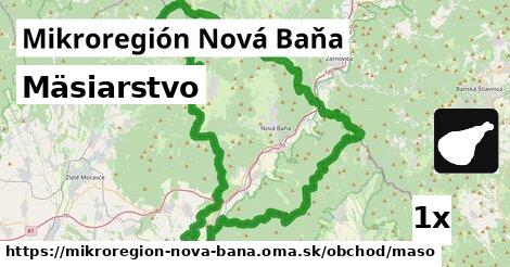Mäsiarstvo, Mikroregión Nová Baňa