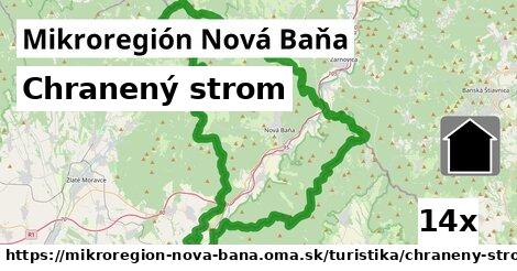 Chranený strom, Mikroregión Nová Baňa