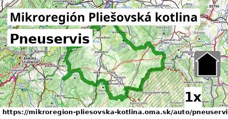 Pneuservis, Mikroregión Pliešovská kotlina