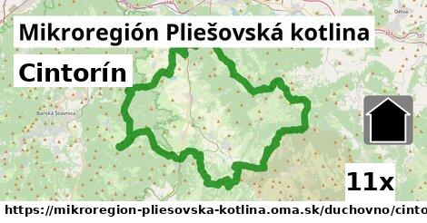 Cintorín, Mikroregión Pliešovská kotlina