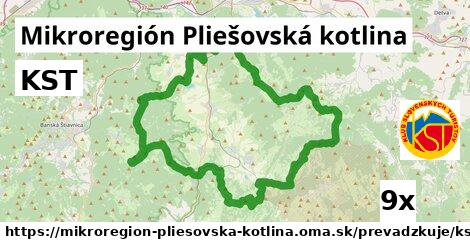 KST, Mikroregión Pliešovská kotlina