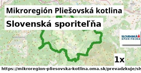 Slovenská sporiteľňa, Mikroregión Pliešovská kotlina