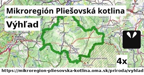 Výhľad, Mikroregión Pliešovská kotlina
