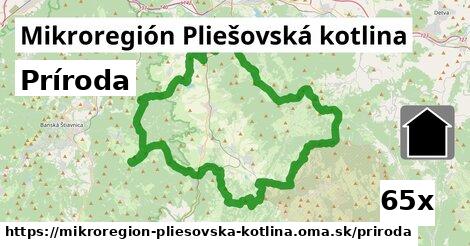 príroda v Mikroregión Pliešovská kotlina