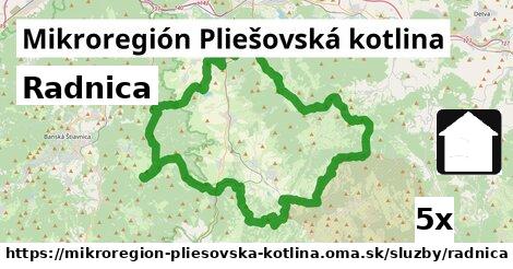 Radnica, Mikroregión Pliešovská kotlina