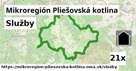 služby v Mikroregión Pliešovská kotlina