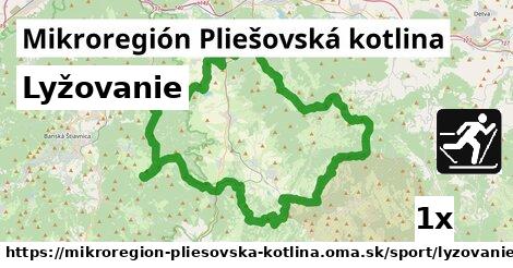 Lyžovanie, Mikroregión Pliešovská kotlina