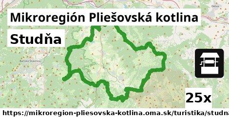 Studňa, Mikroregión Pliešovská kotlina