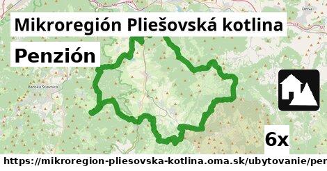 Penzión, Mikroregión Pliešovská kotlina