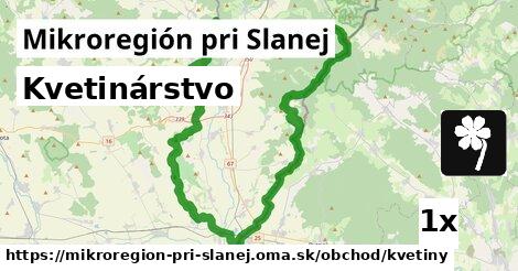 Kvetinárstvo, Mikroregión pri Slanej