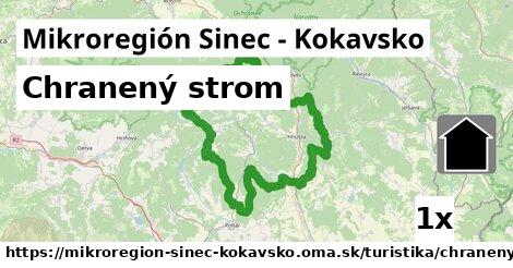 Chranený strom, Mikroregión Sinec - Kokavsko