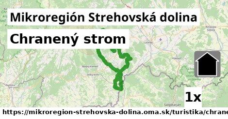 Chranený strom, Mikroregión Strehovská dolina