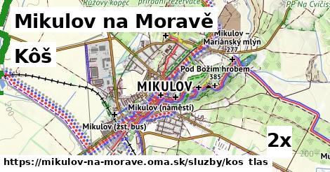 Kôš, Mikulov na Moravě