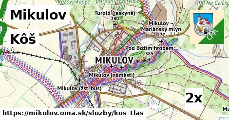 kôš v Mikulov