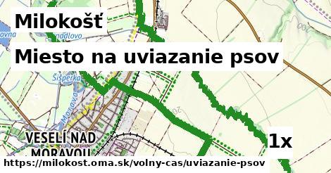 miesto na uviazanie psov v Milokošť