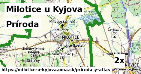 príroda v Milotice u Kyjova