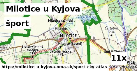 šport v Milotice u Kyjova