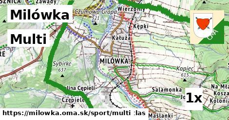 multi v Milówka