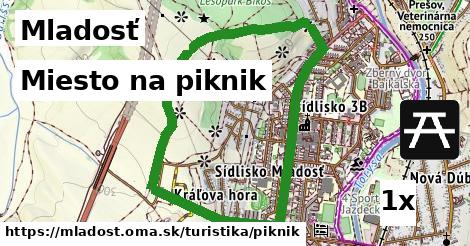 Miesto na piknik, Mladosť